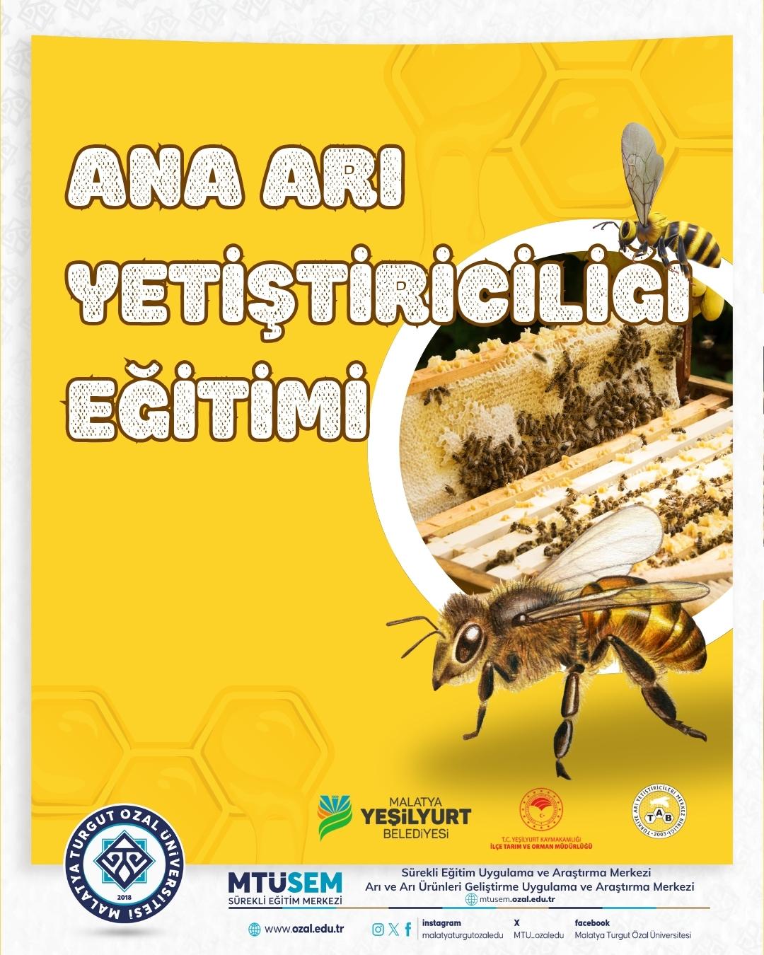 ANA ARI YETIŞTIRICILIĞI EĞITIMI